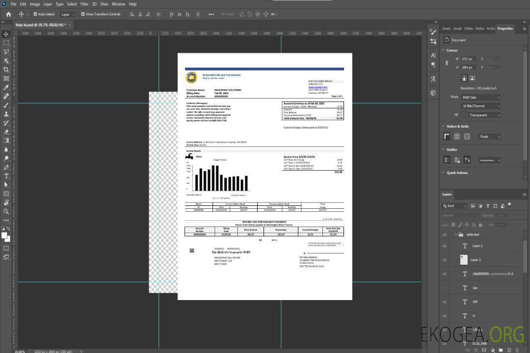 Modèle de facture de services publics du Washington Water Service des États-Unis aux formats Word et PDF template